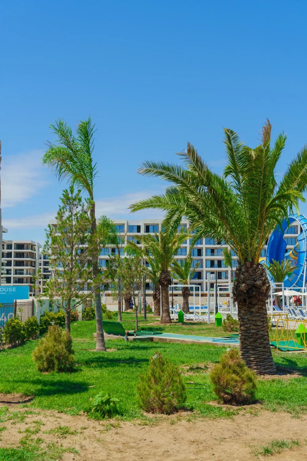 Palms, and behind them a blue slide